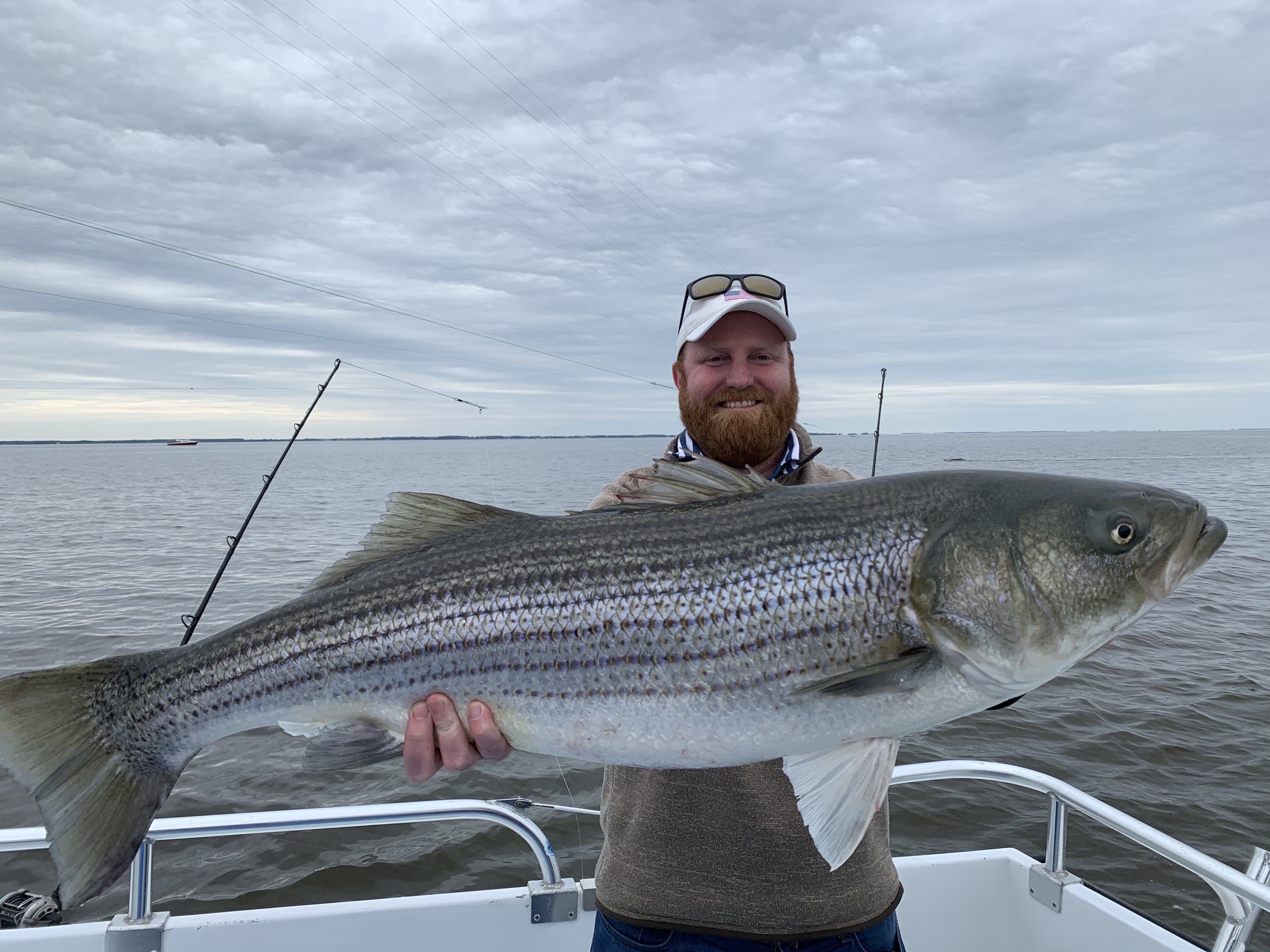 Fishing Reports  Chesapeake Bay Charter Boats Fishing & Cruising