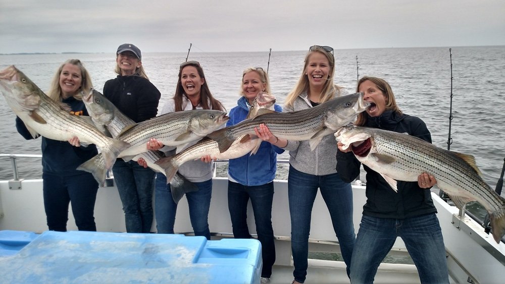 Boat Limit of Sea Bass and Some 50 Striped Bass - Ocean City MD Fishing