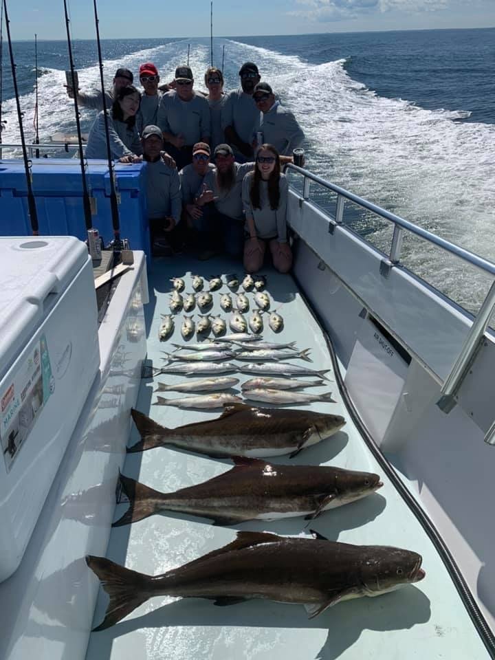 Cobia3.jpg