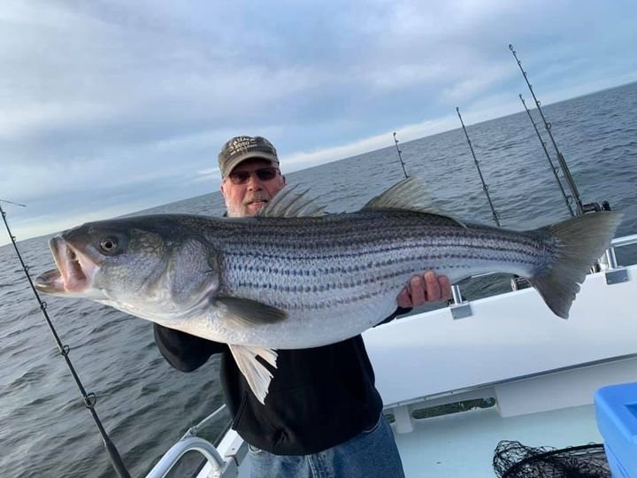 Decker Island Fish Report - Decker Island - Decker Island Striped Bass  Report - October 23, 2016