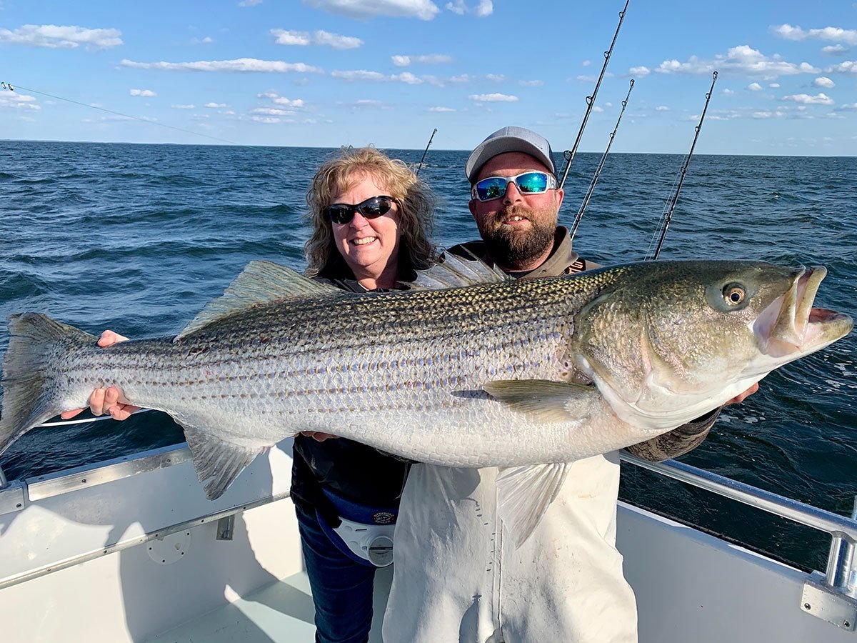 Catching a GIANT Chesapeake Bay striper with live bait and planer