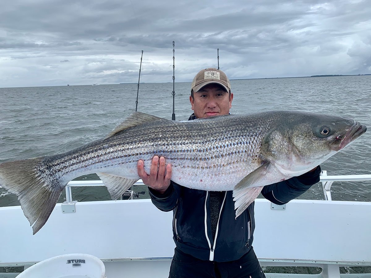 Striper Fishing in the Chesapeake Bay - 727 Angler